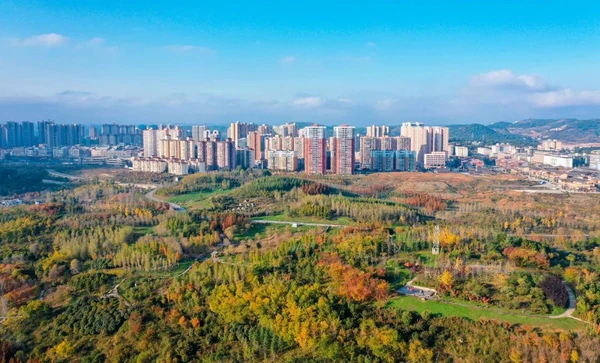 为什么参加篮球辅导可以帮助孩子更好地成长_1